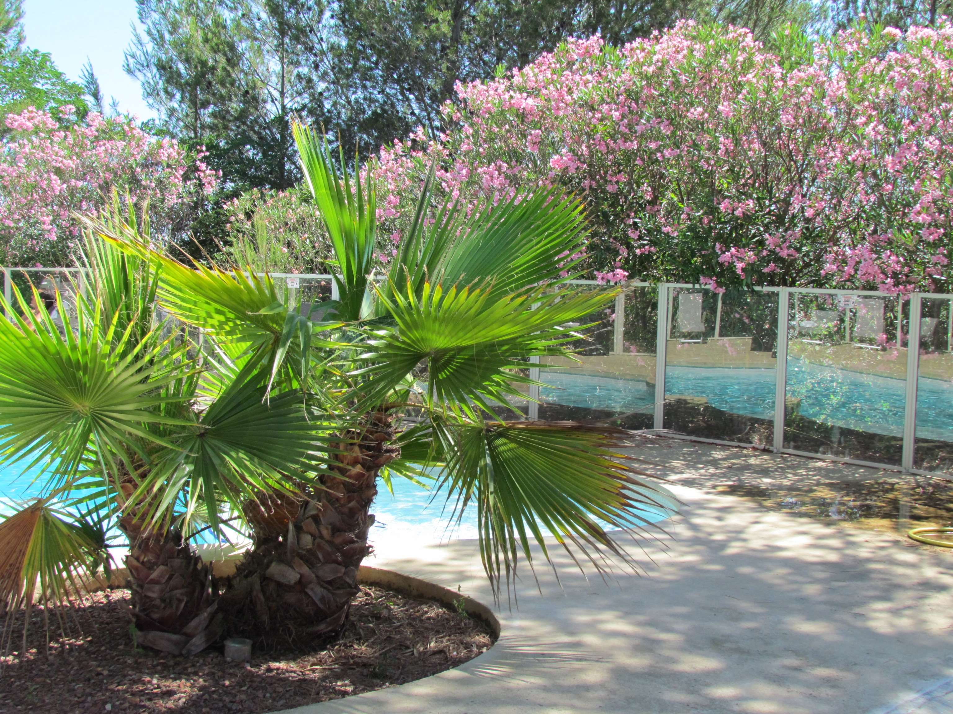 Kyriad Montpellier Nord- Saint-Clément-de-Rivière