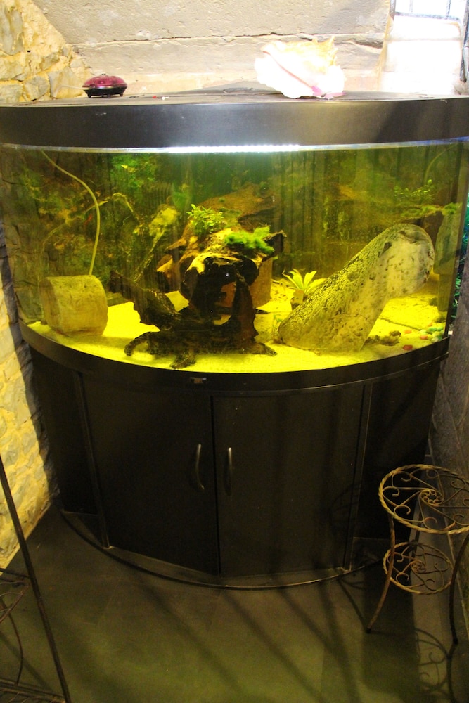 Domaine d’Alcapiès