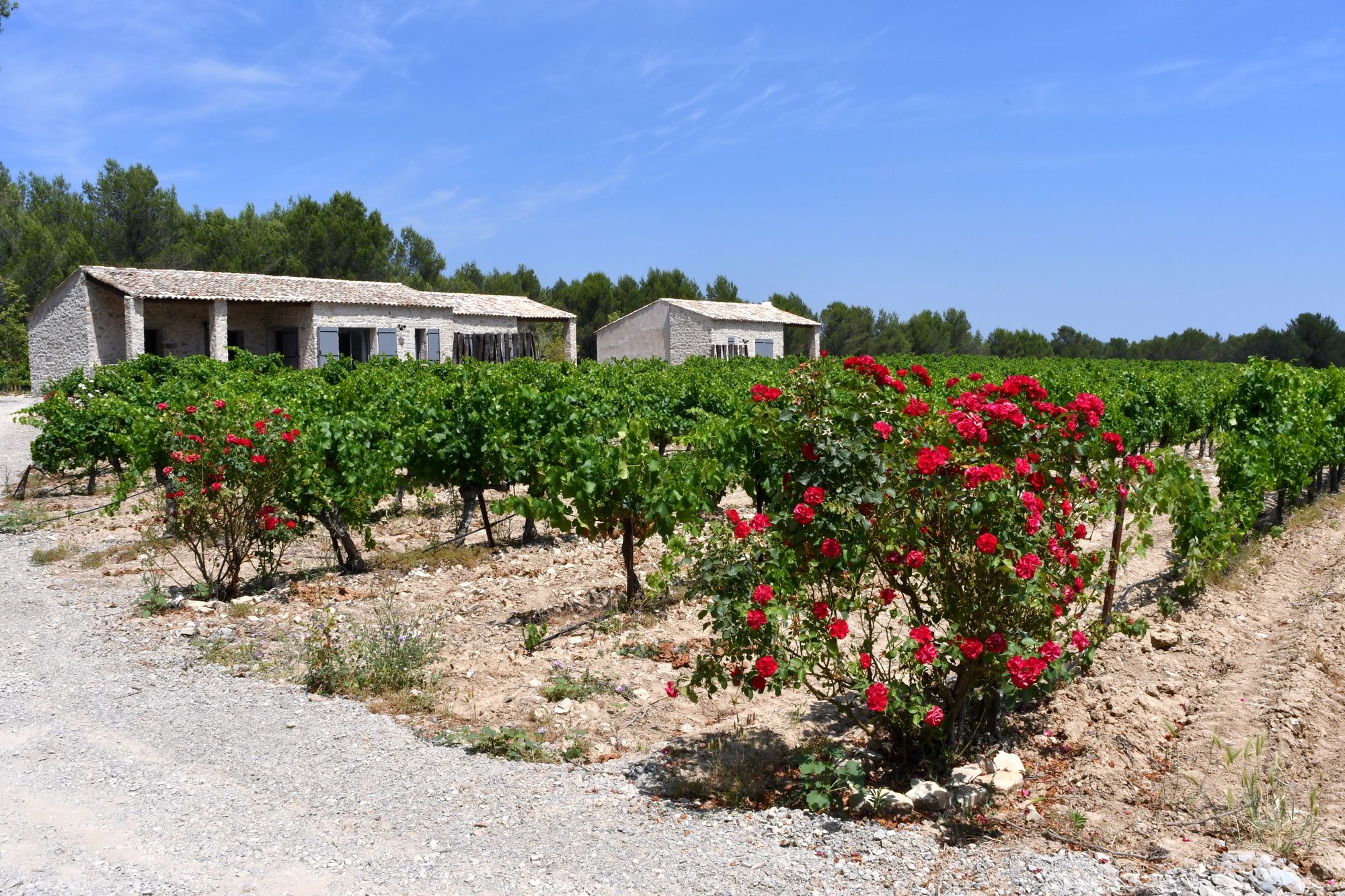 Les Lodges du Pic