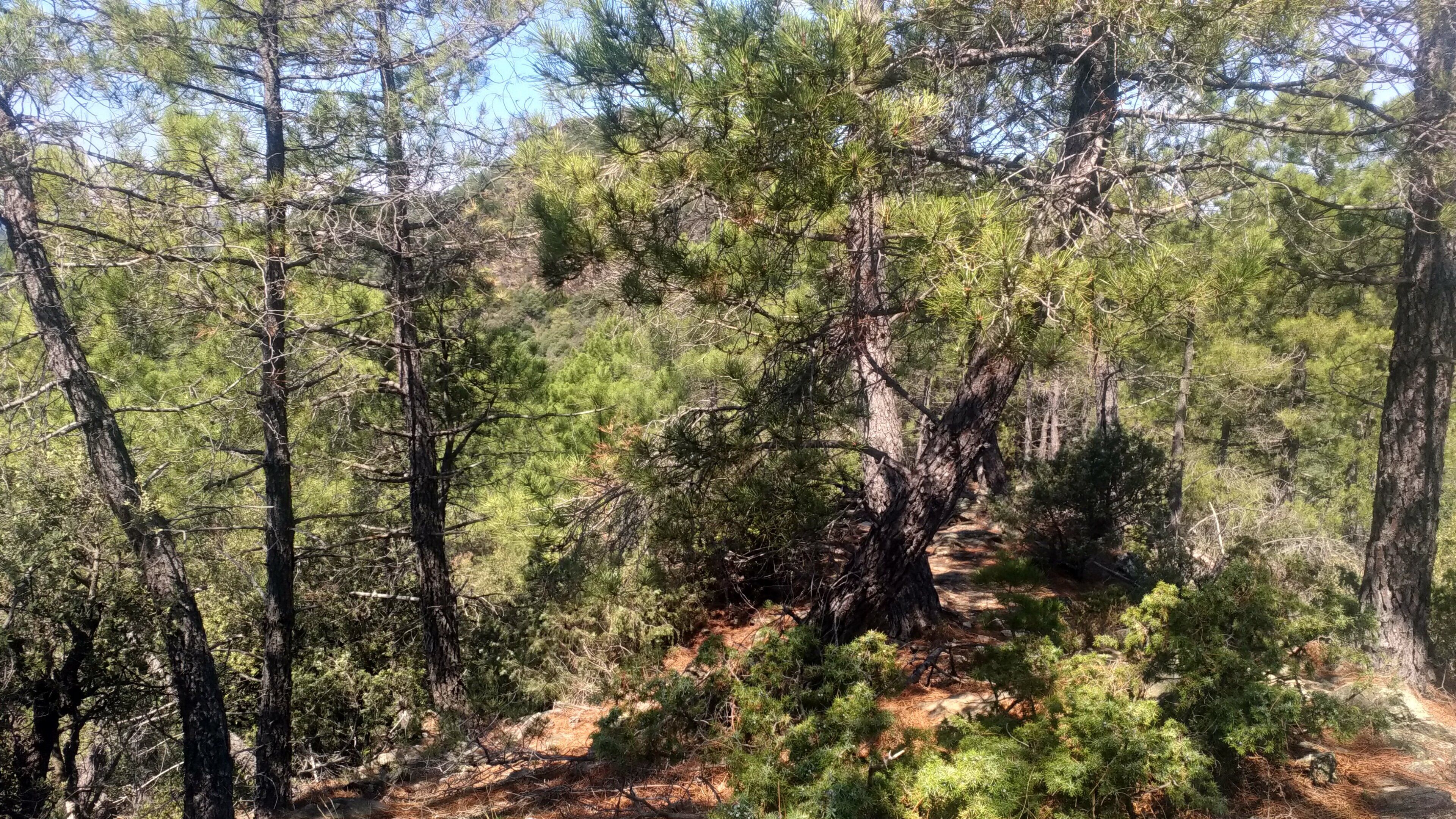 Les Jardins D'Arbousse