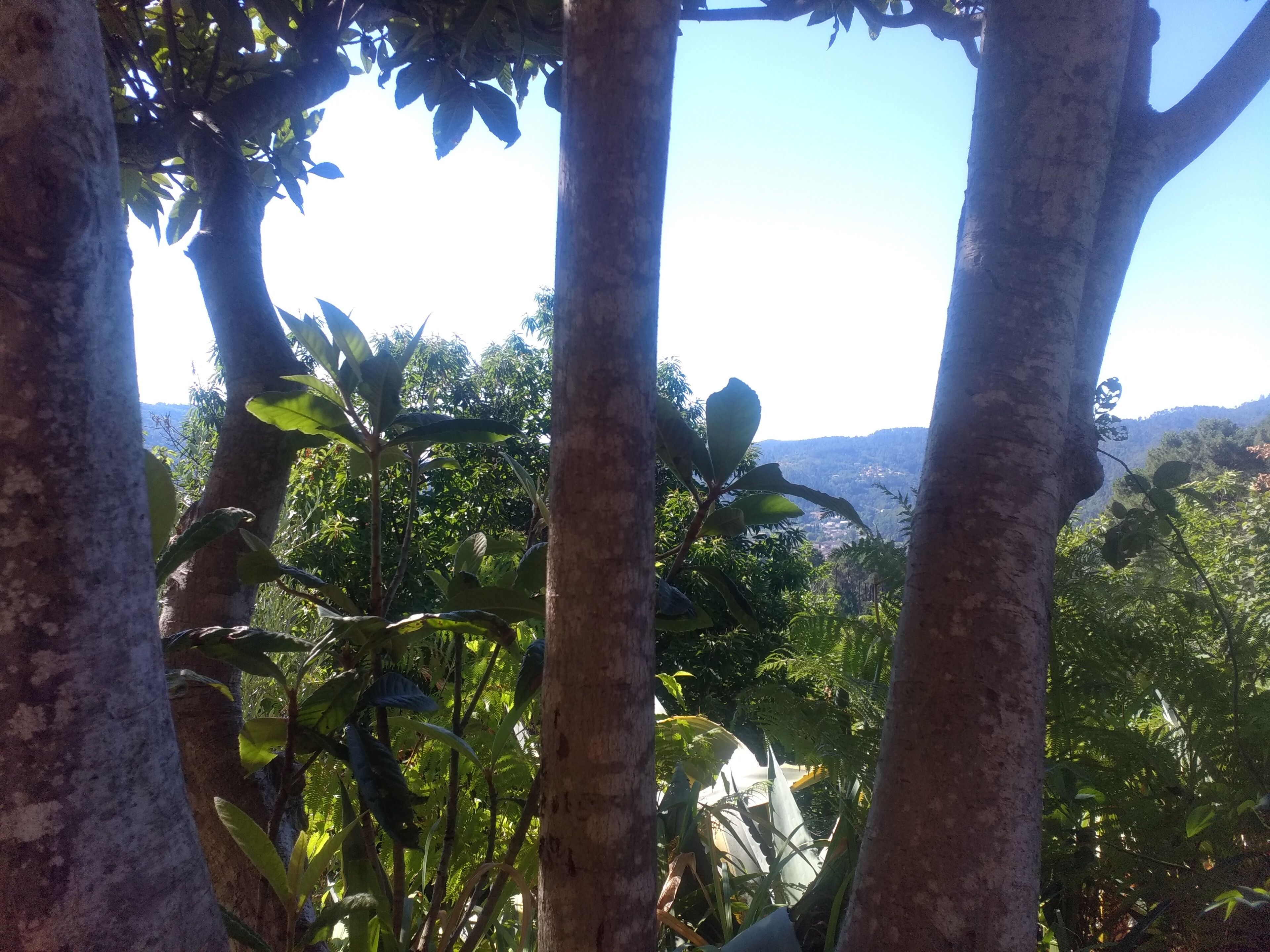 Les Jardins D'Arbousse