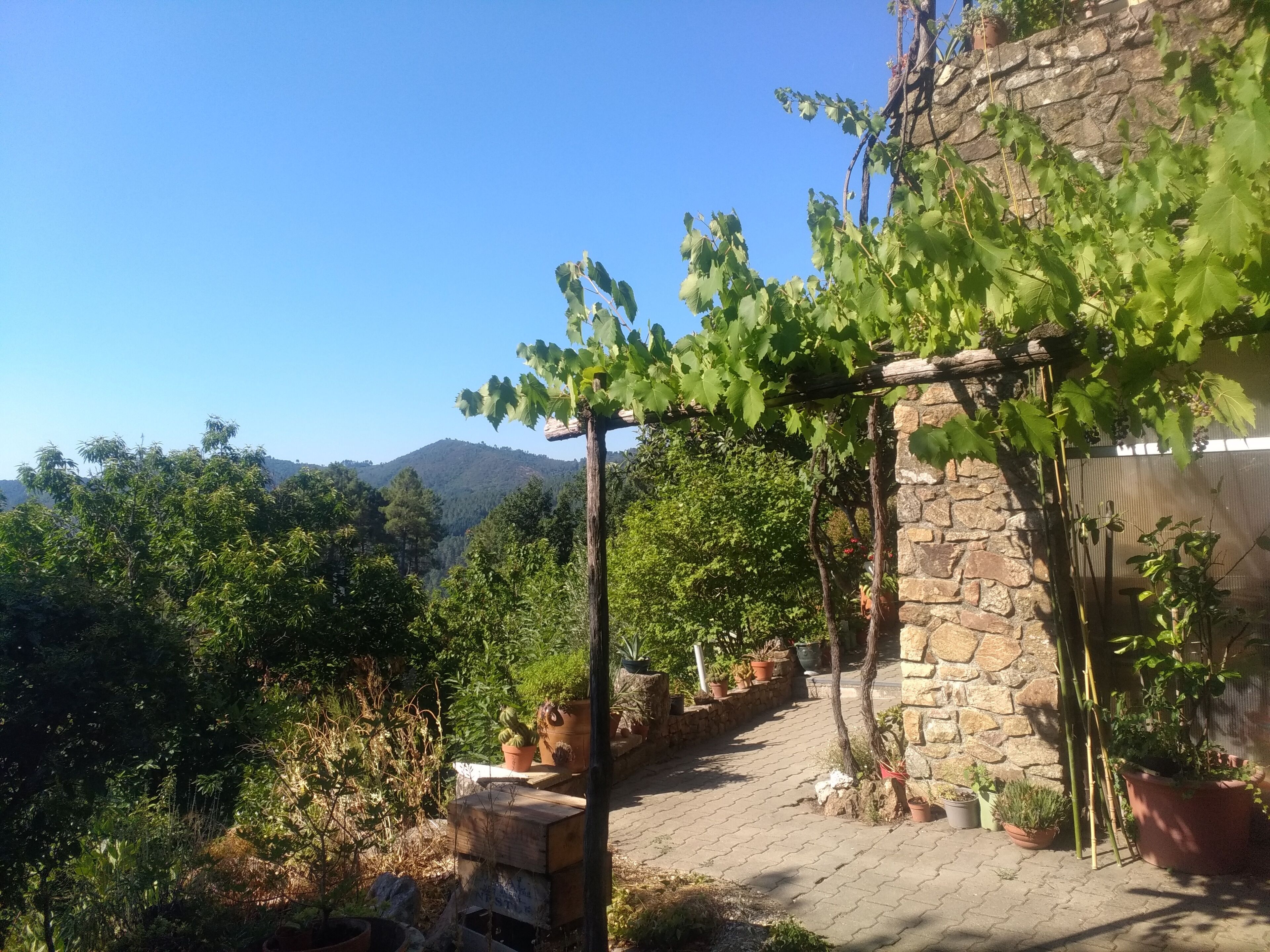 Les Jardins D'Arbousse