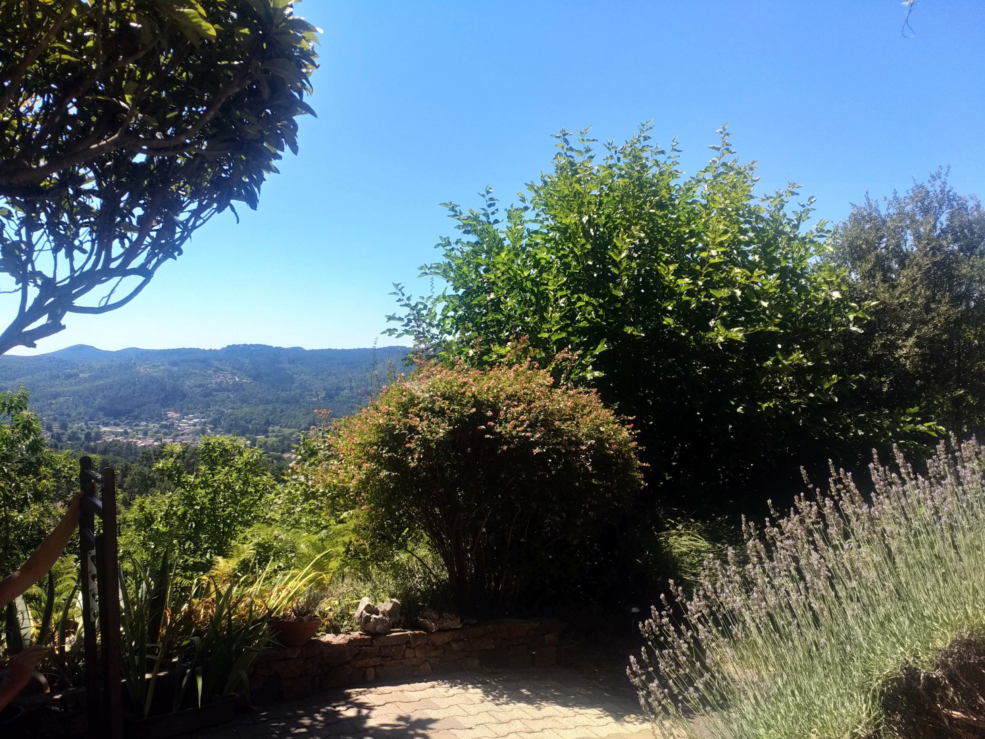 Les Jardins D'Arbousse