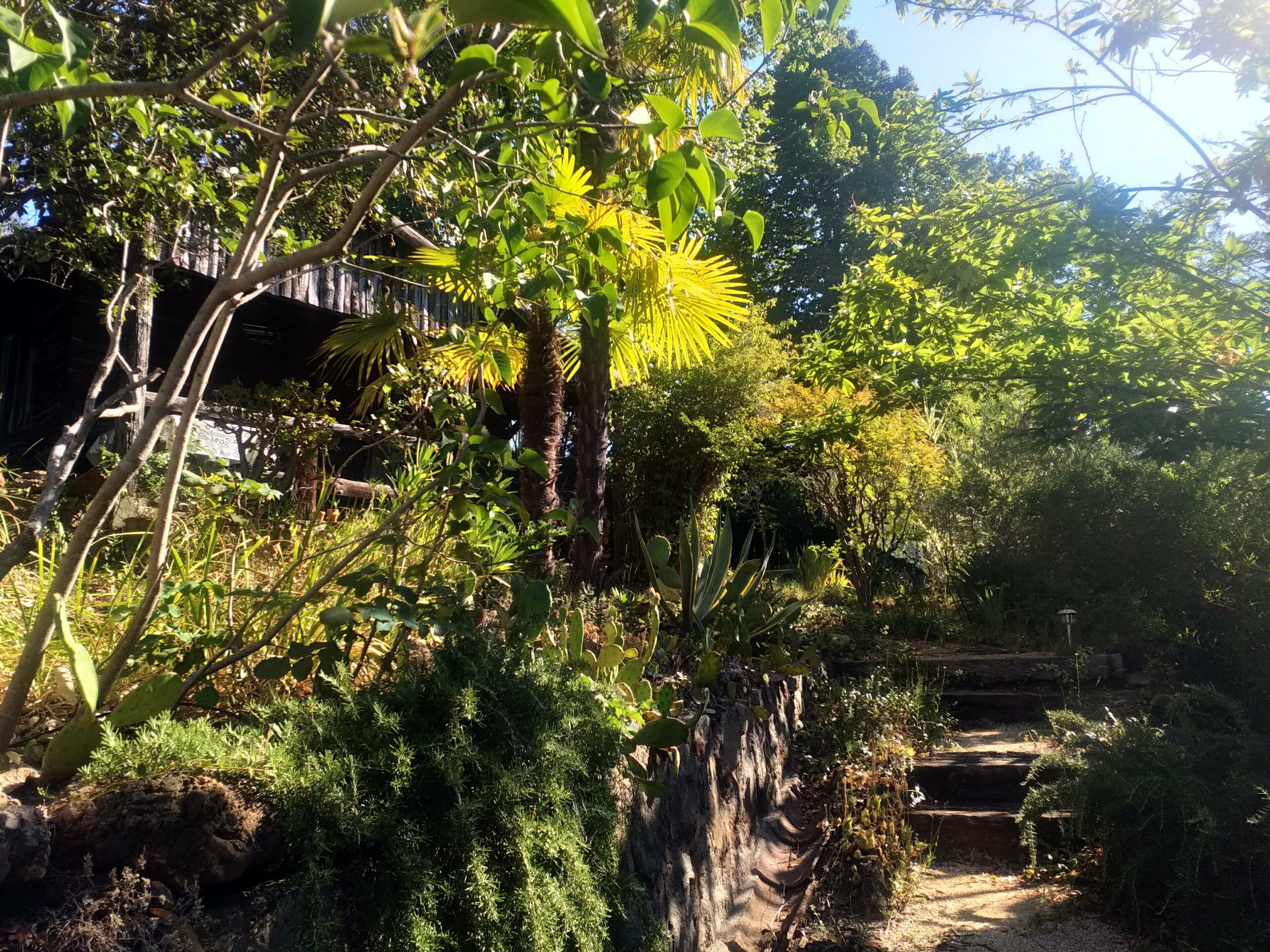 Les Jardins D'Arbousse