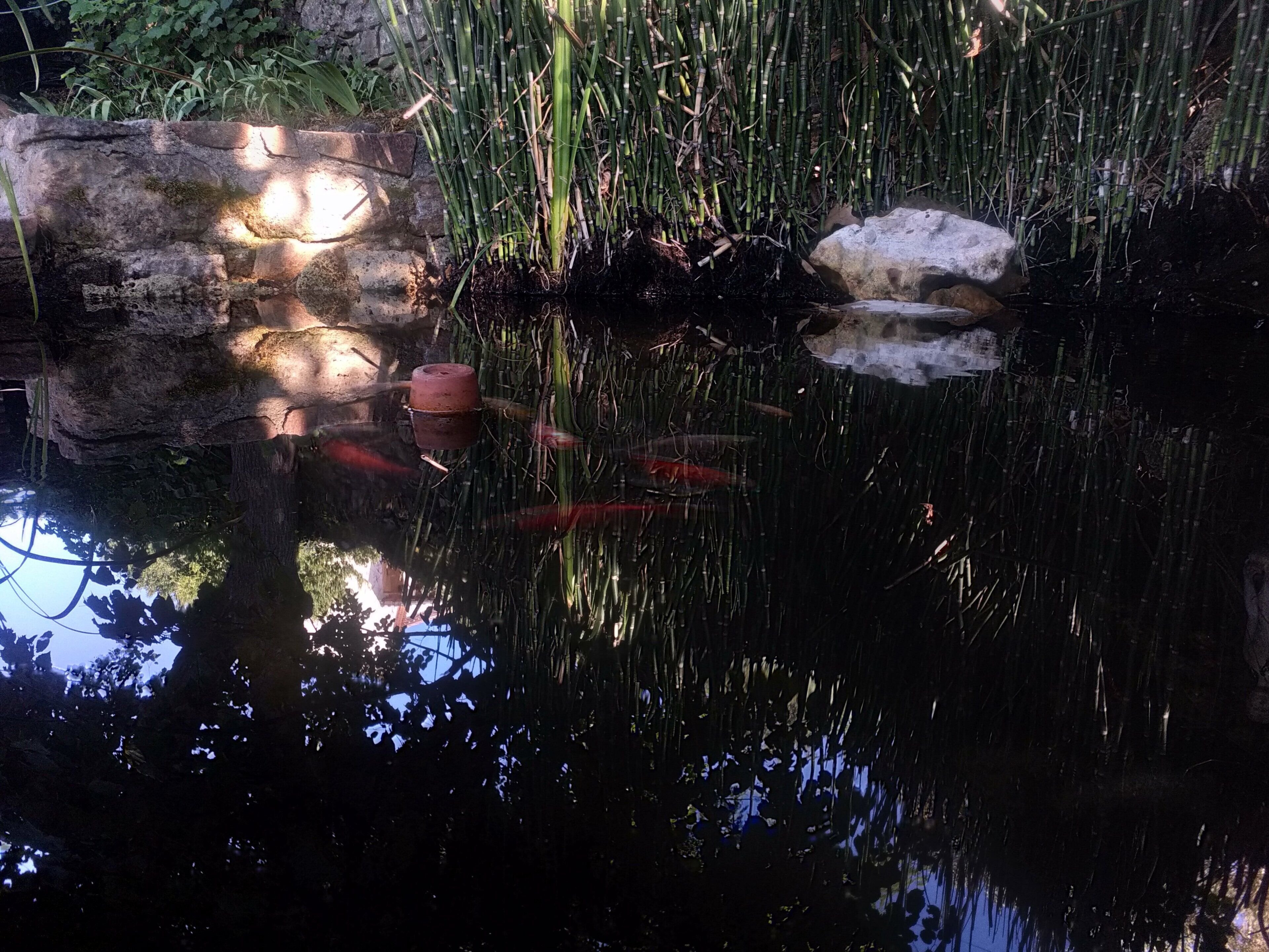 Les Jardins D'Arbousse