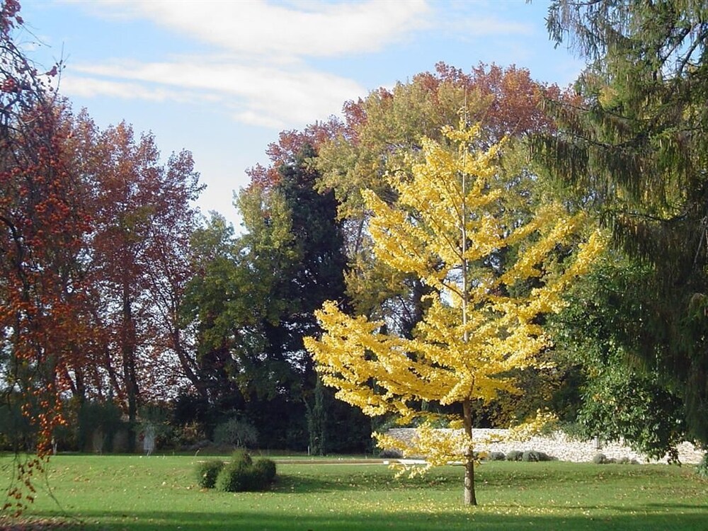 Chateau Beaupre Deleuze