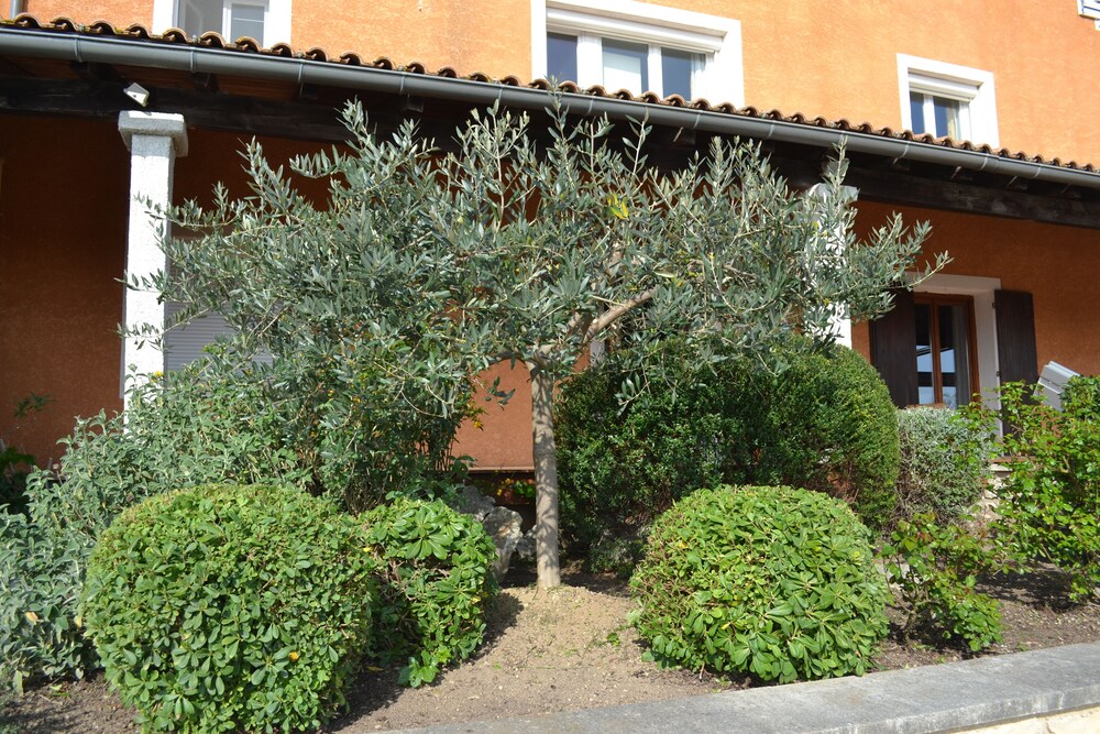 Hotel Le Saint Genies