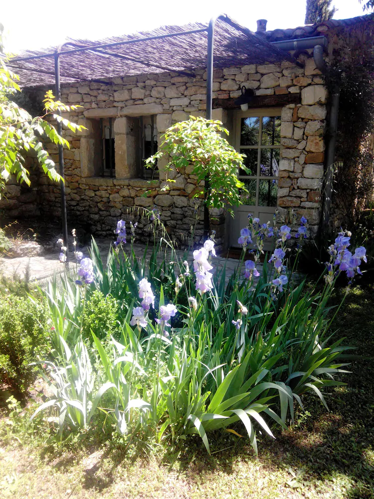 Le Mazet Des Olivettes