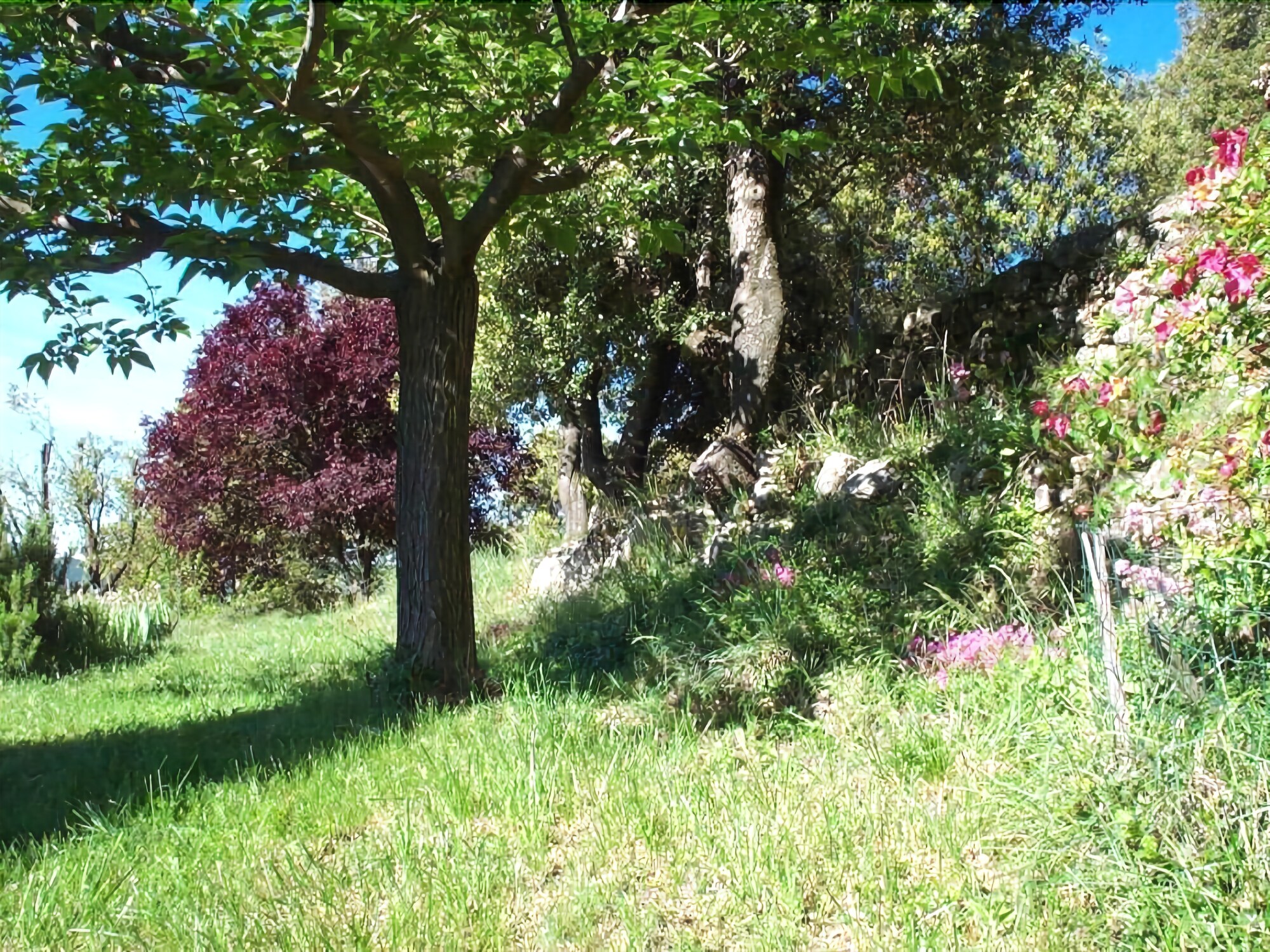 Les Gites Dardaillers