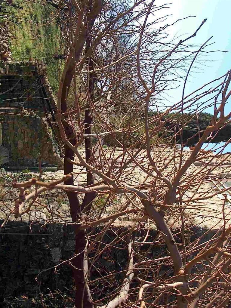 Les Gites Dardaillers