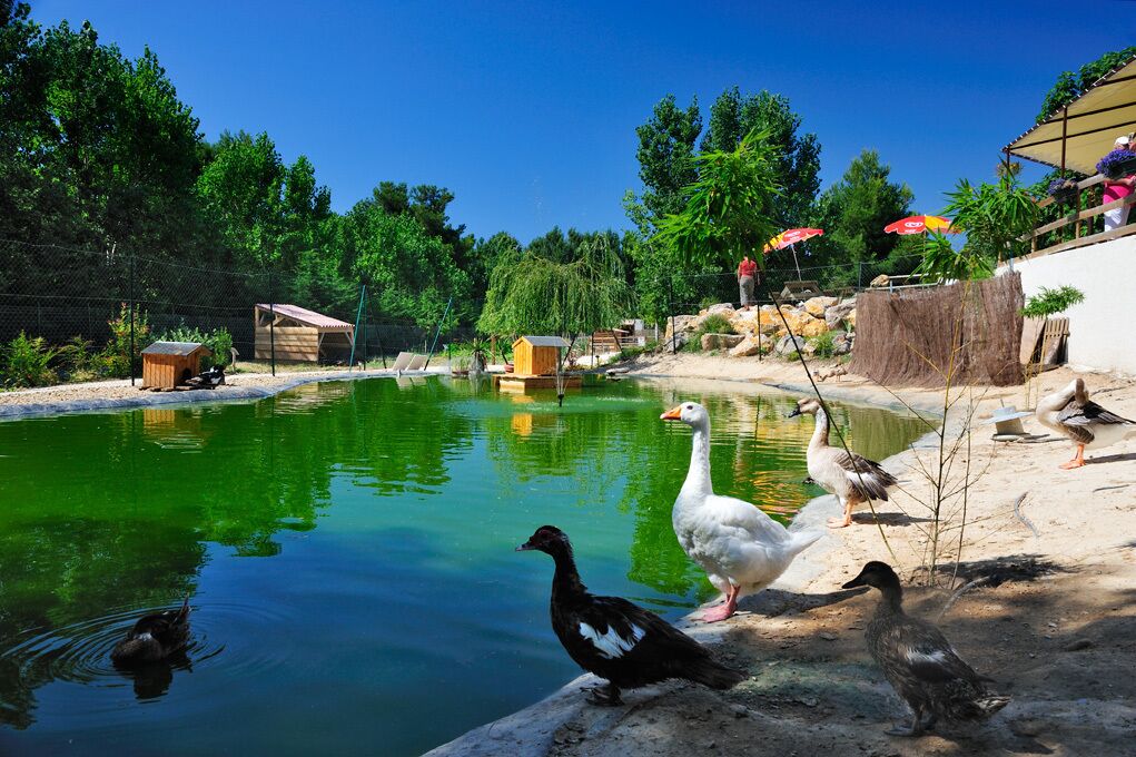 Camping Domaine La Yole