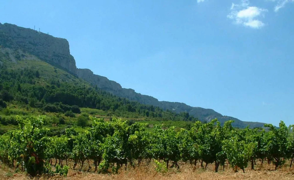 Domaine Vents Du Sud