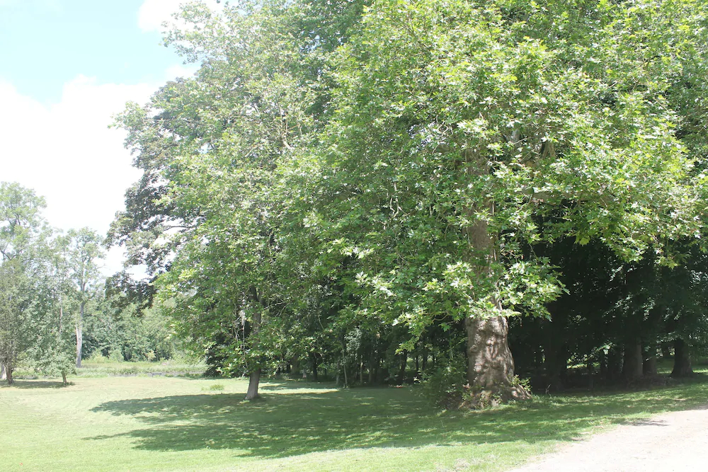 Domaine Du Plessis Luzarches