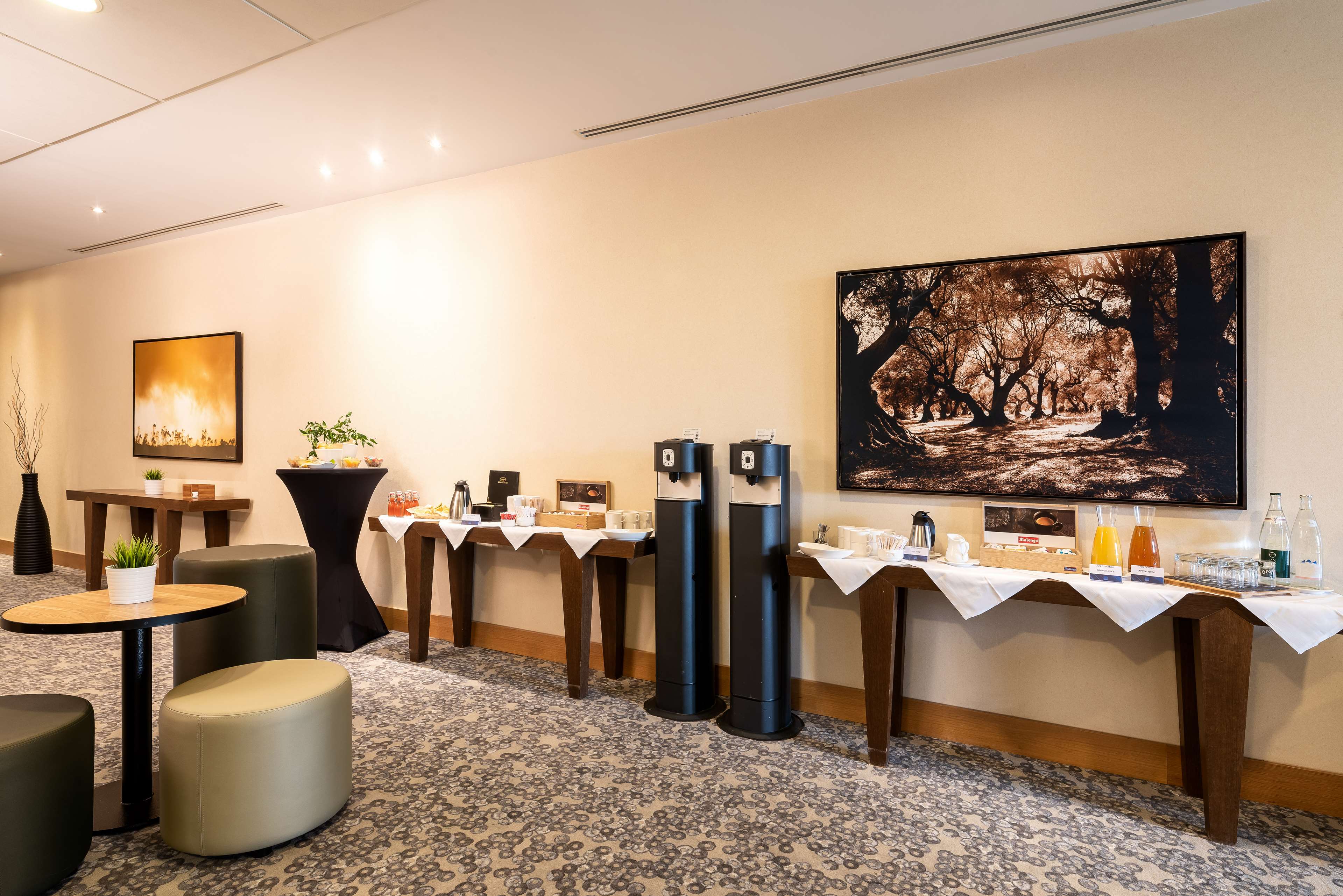 Radisson Blu Hotel Paris Marne-la-Vallée