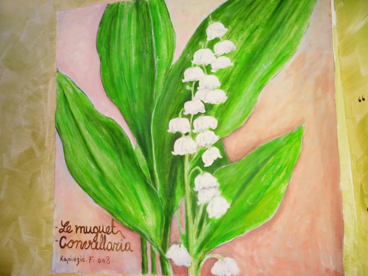 Hotel Amélie – Green Spirit Hotels Paris