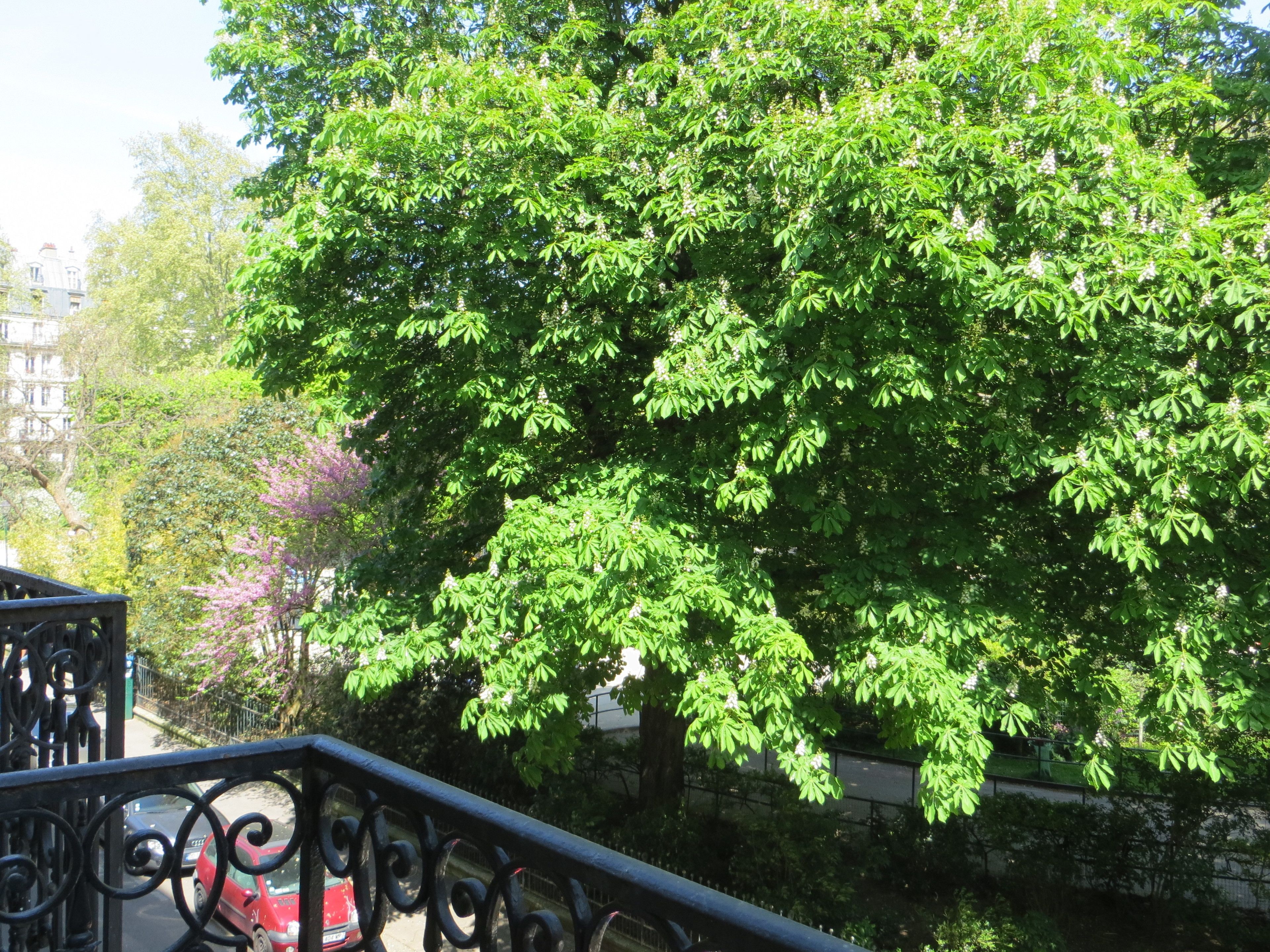 Gardette Park Hotel