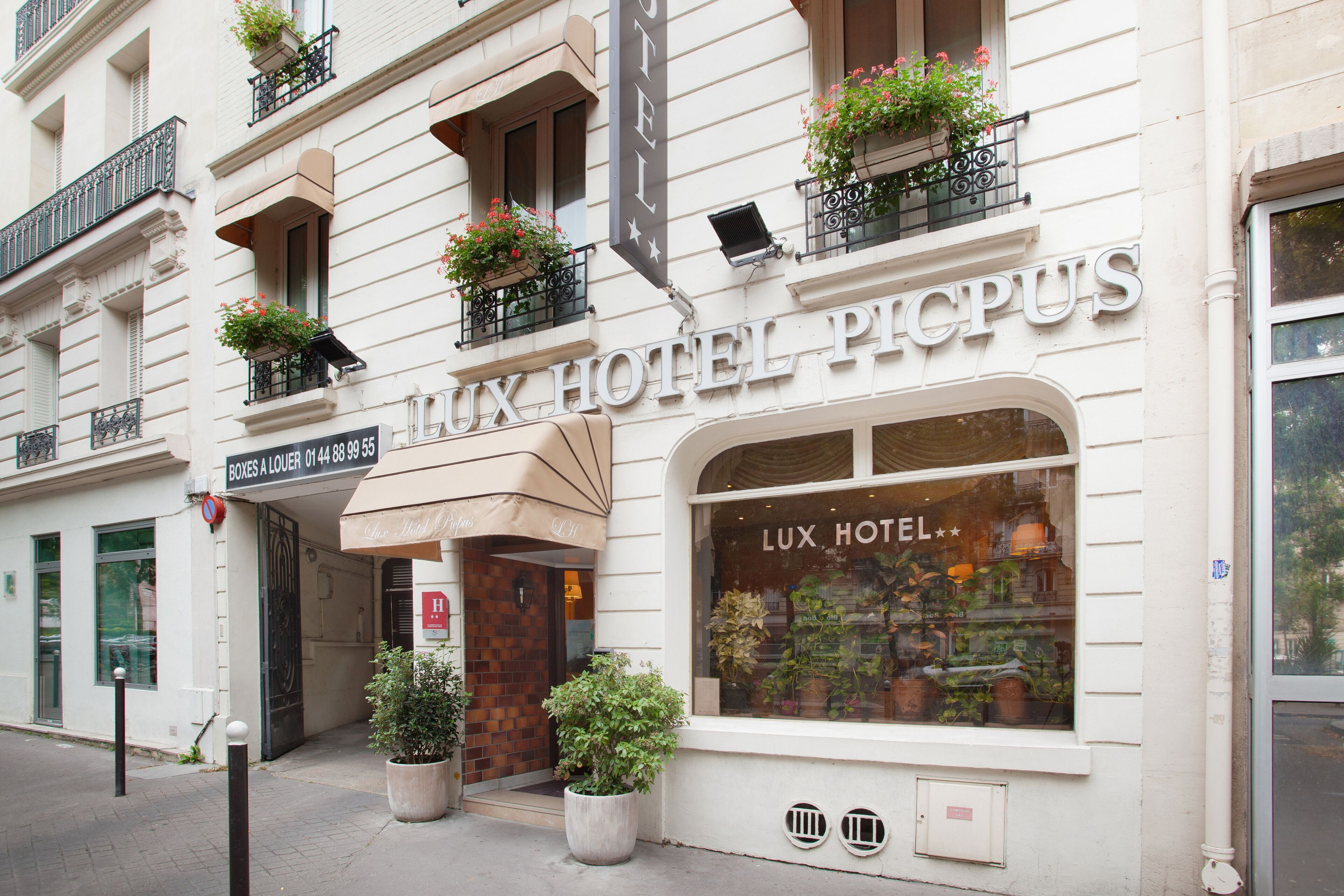 Lux Picpus