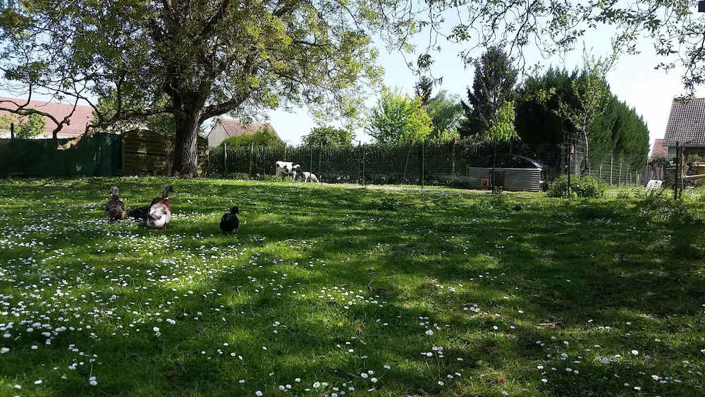 La Ferme De Flo