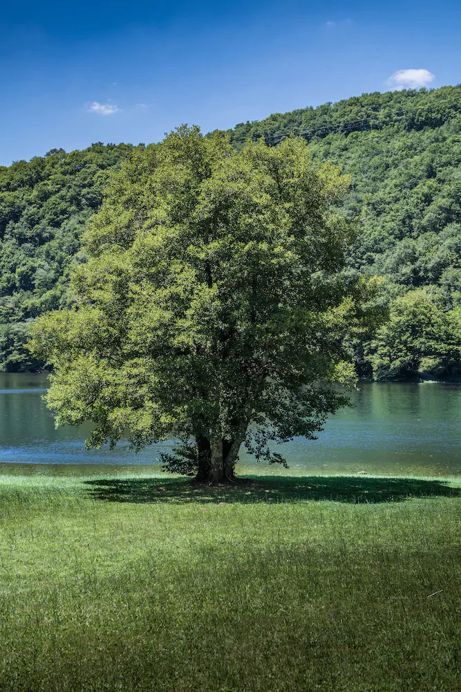 Sea Green Camping Le Gibanel