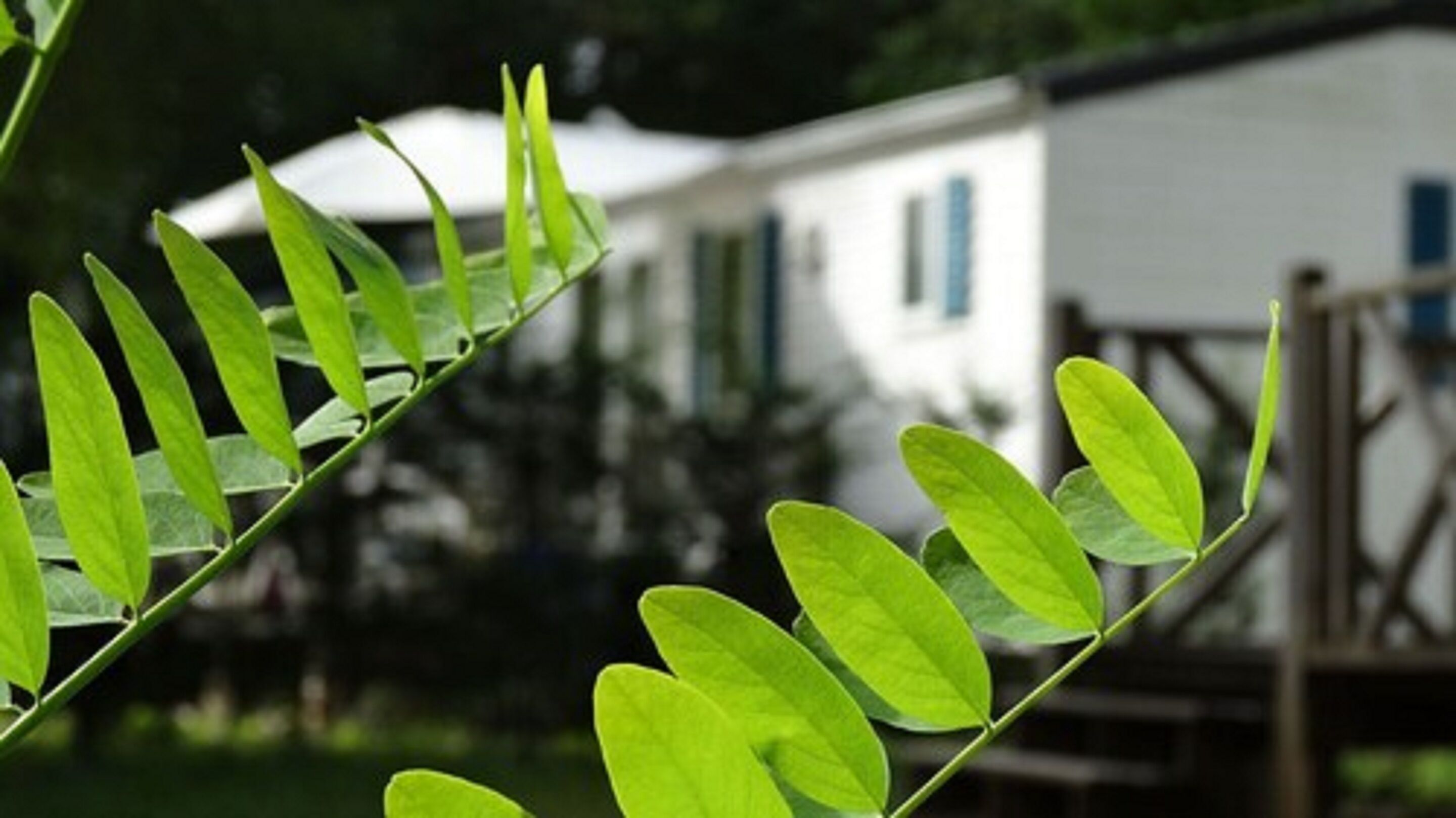 Camping Echo Du Malpas