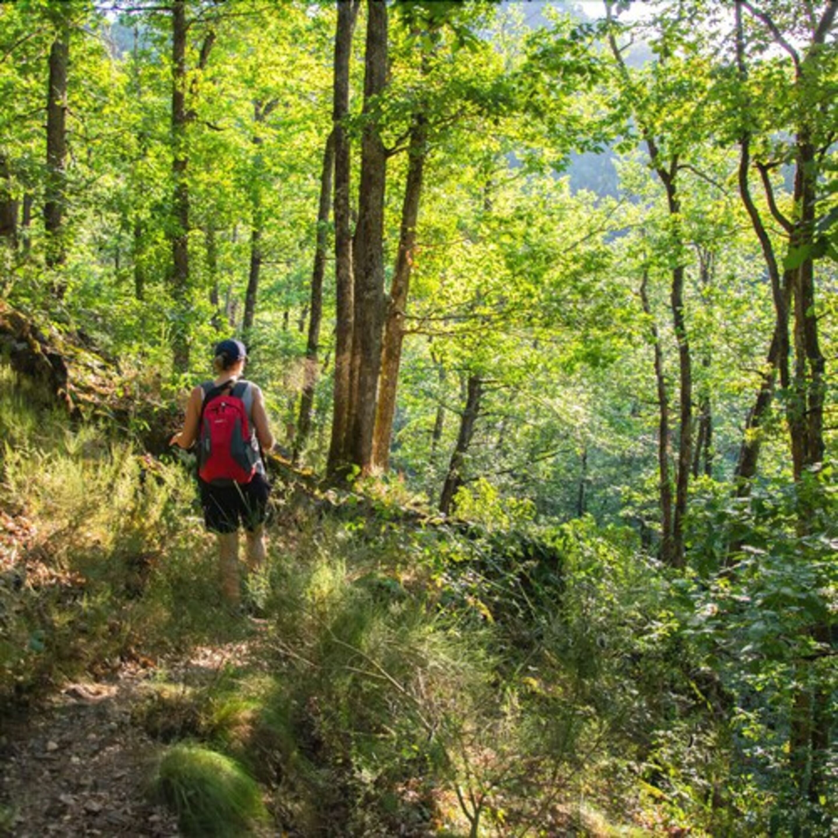 Camping Echo Du Malpas