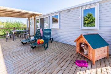 The Alicourts Resort