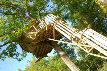 The Alicourts Resort