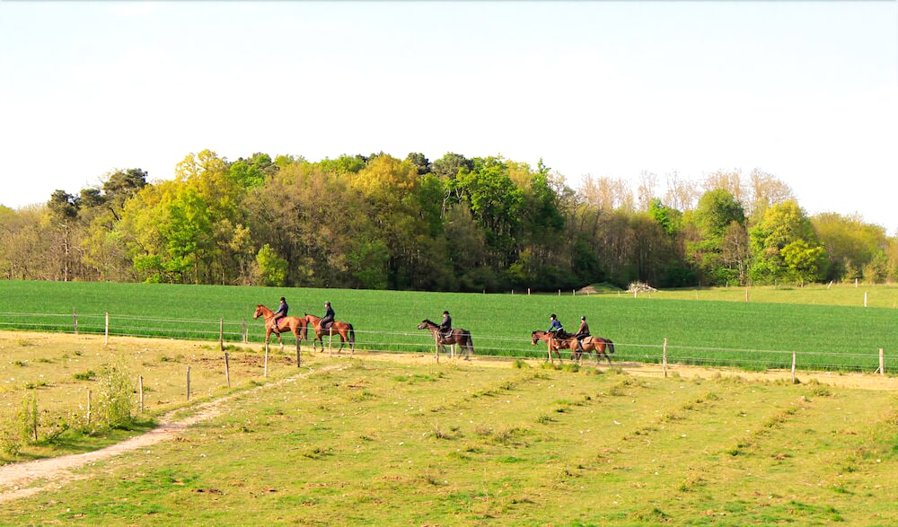 Centre Equestre D'Azay Le Rideau