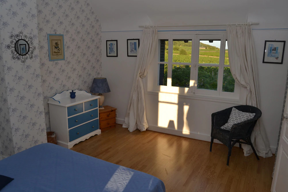 Les Camelias Des Demoiselles De Pallus