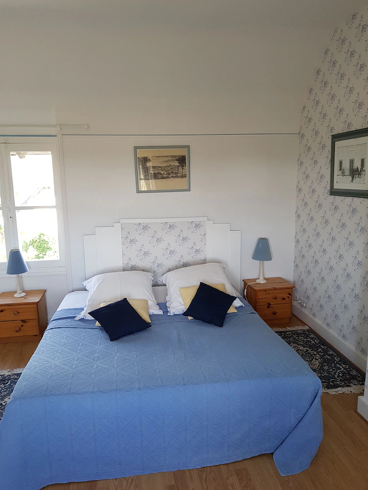 Les Camelias Des Demoiselles De Pallus