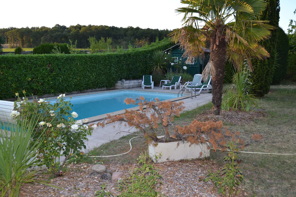 Les Camelias Des Demoiselles De Pallus