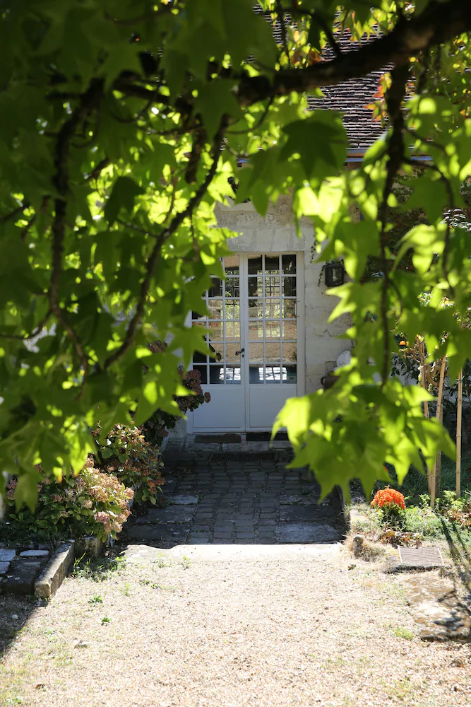 Les Camelias Des Demoiselles De Pallus