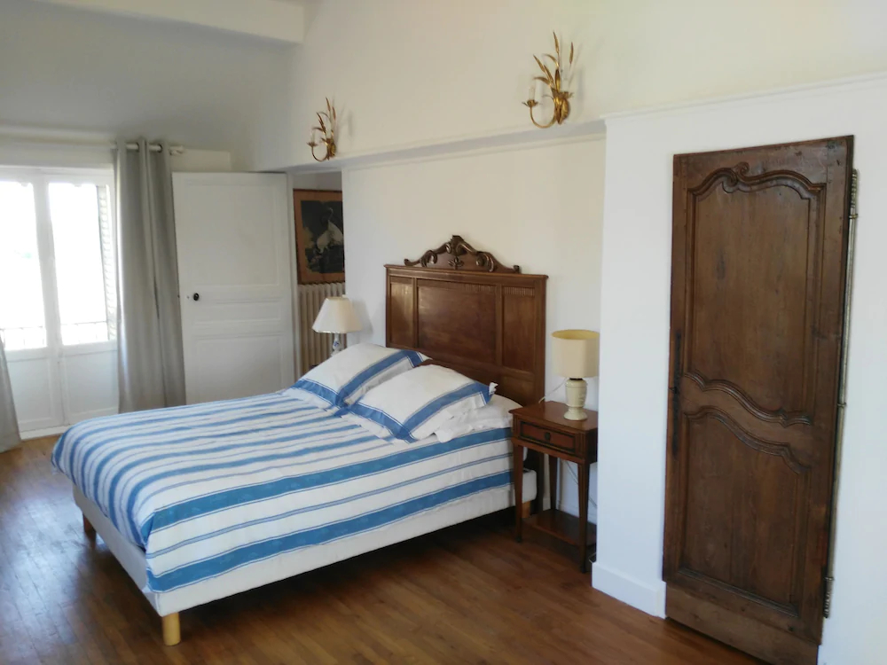 Les Camelias Des Demoiselles De Pallus