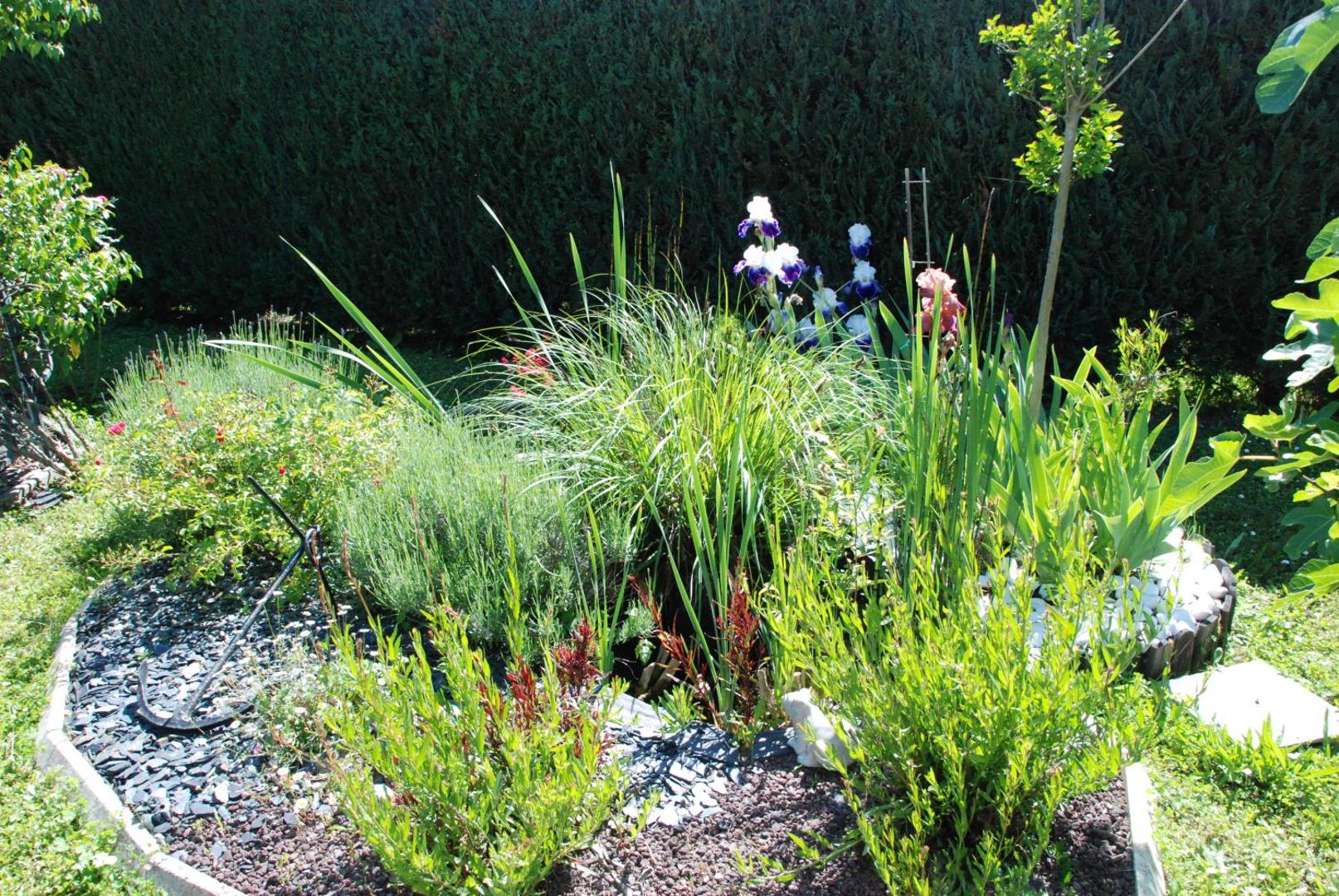 Chambre D'hotes Les Paturelles