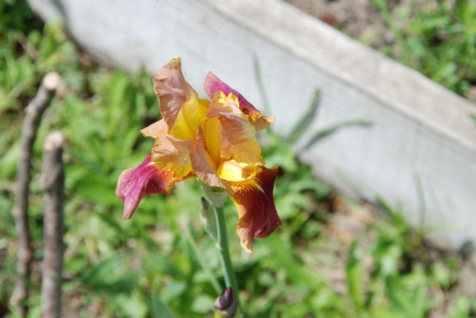 Chambre D'hotes Les Paturelles