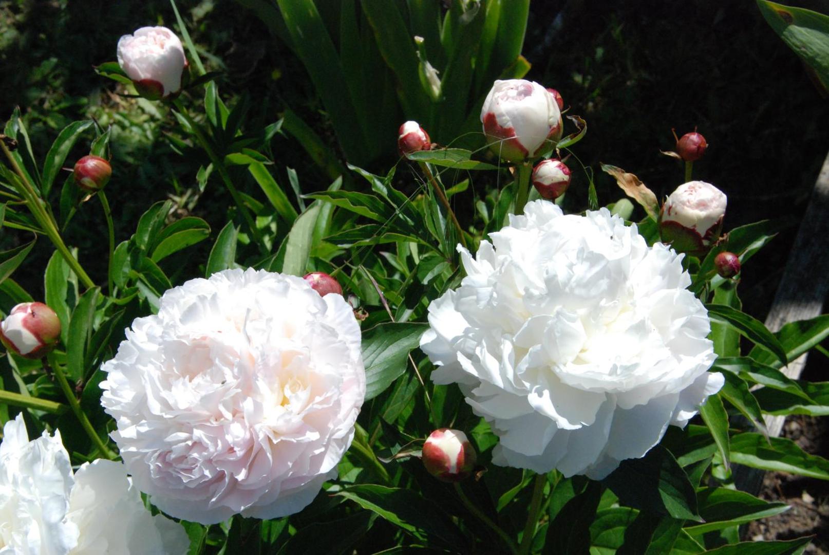 Chambre D'hotes Les Paturelles