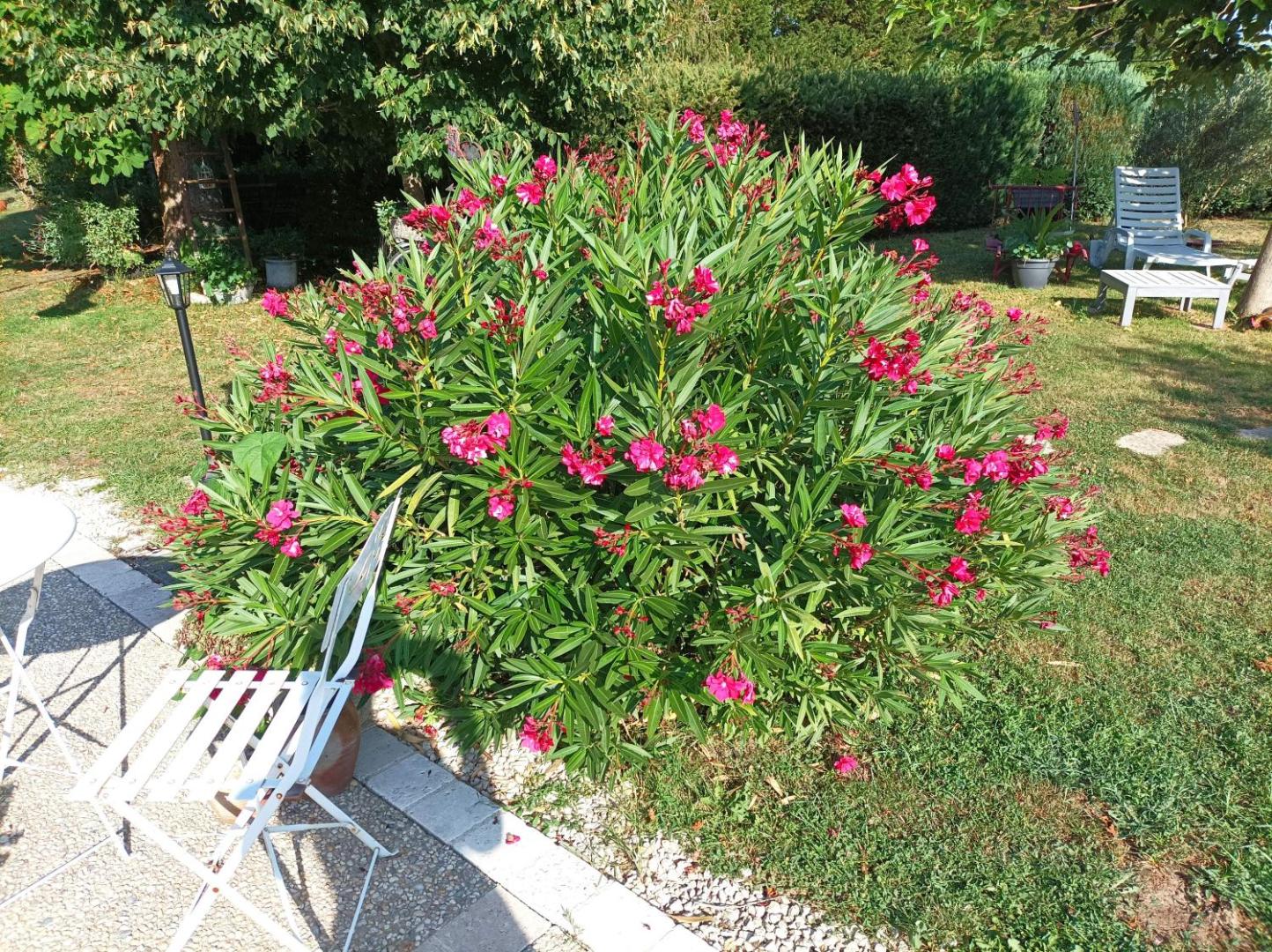 Chambre D'hotes Les Paturelles