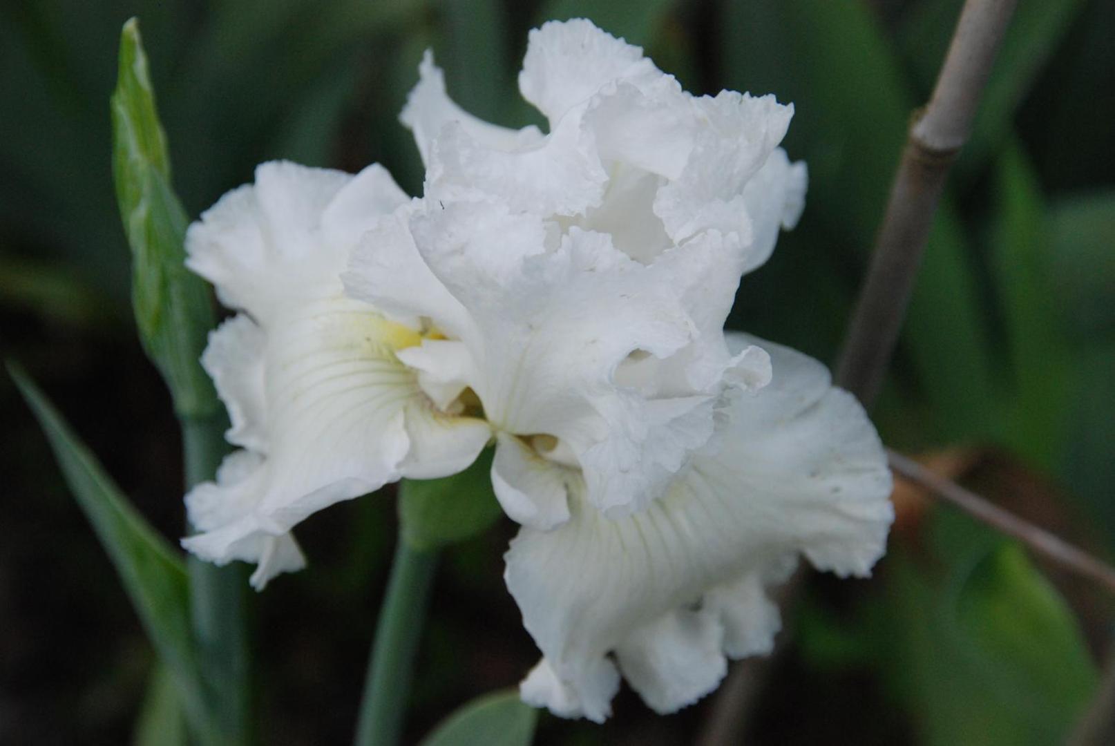 Chambre D'hotes Les Paturelles