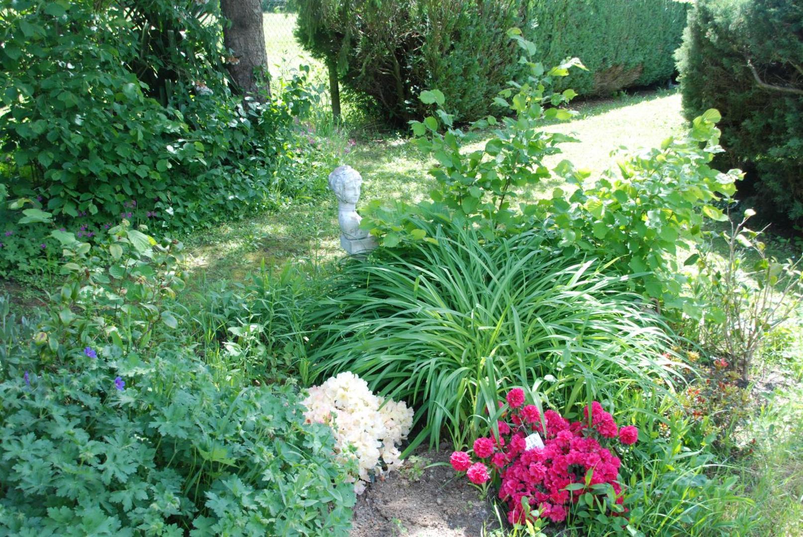 Chambre D'hotes Les Paturelles