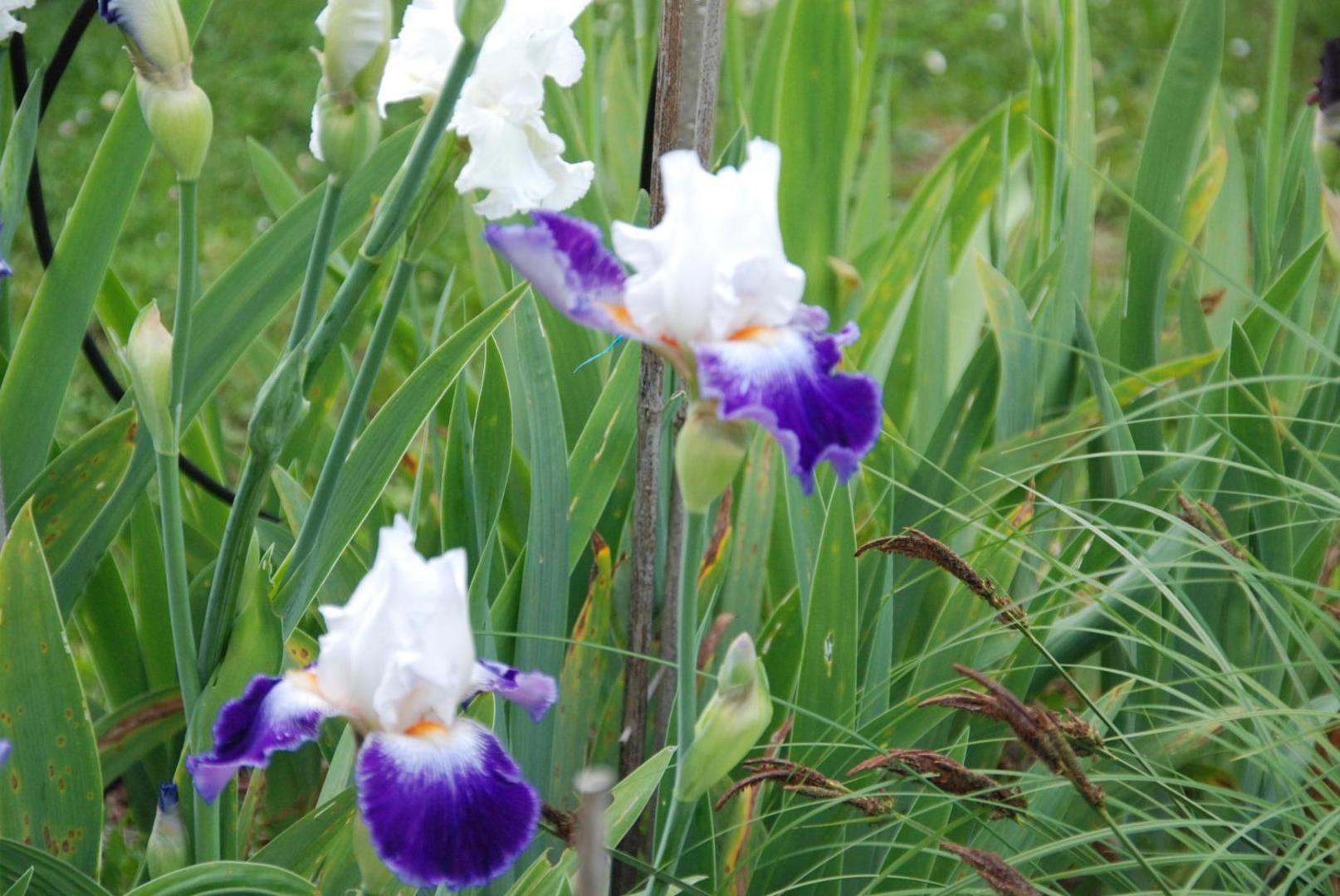Chambre D'hotes Les Paturelles