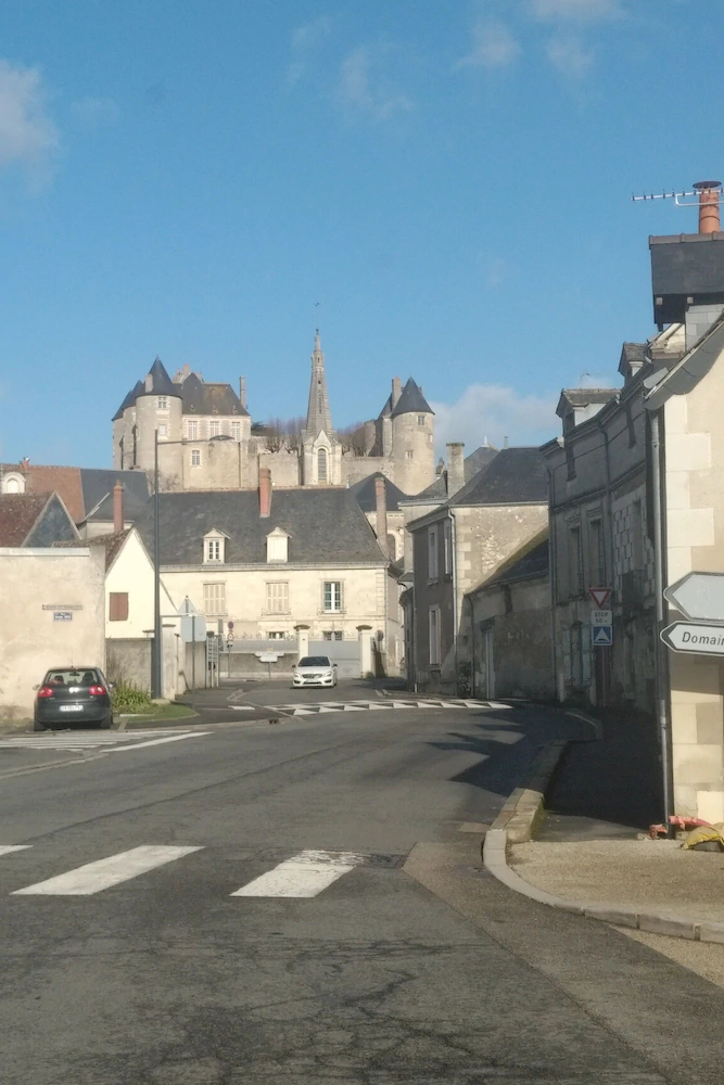 La Roche Bellevue Gites Au Coeur Chateaux