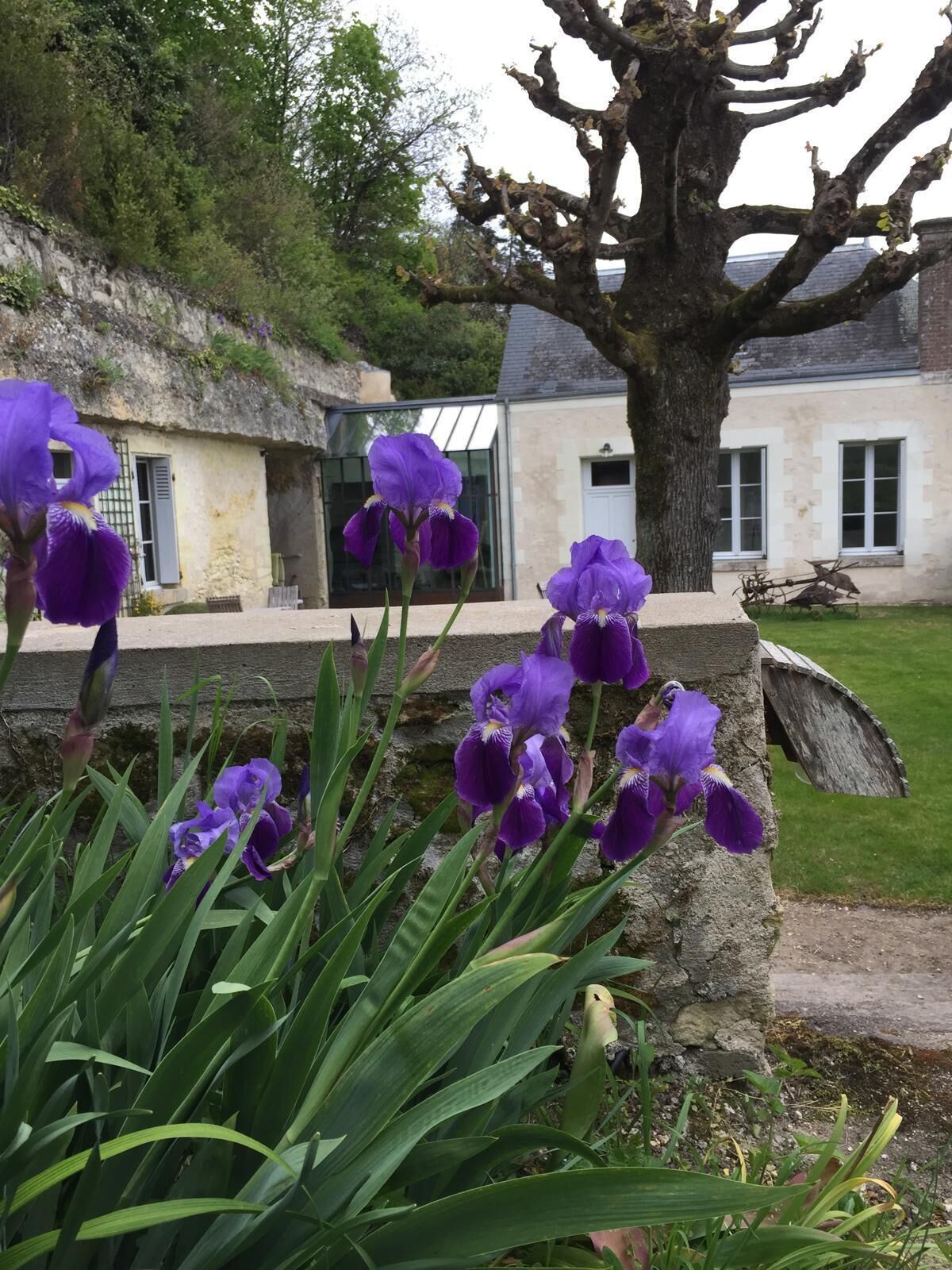 Château de Nazelles