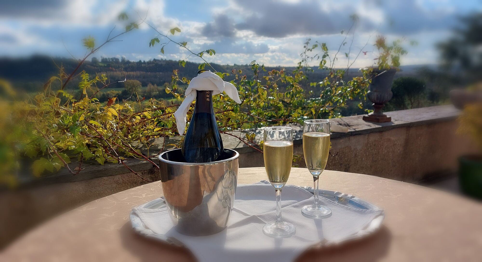 Château Haute Roche