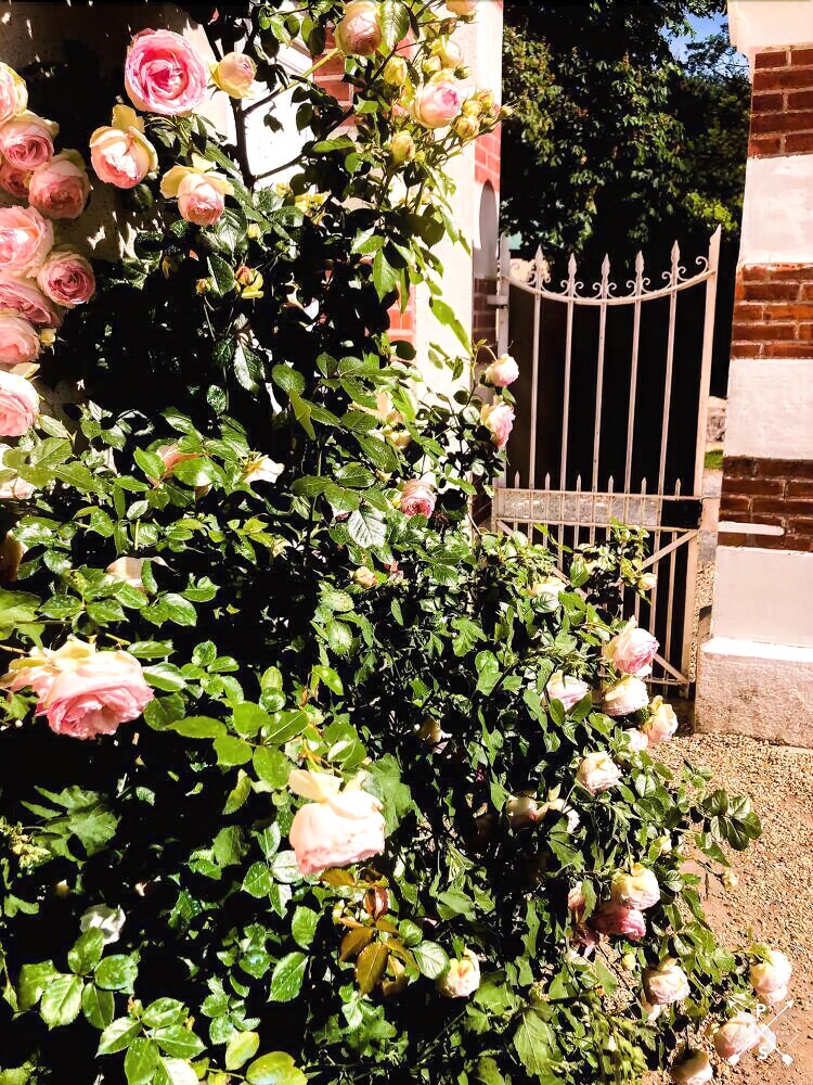 Le Cottage Des Sablons