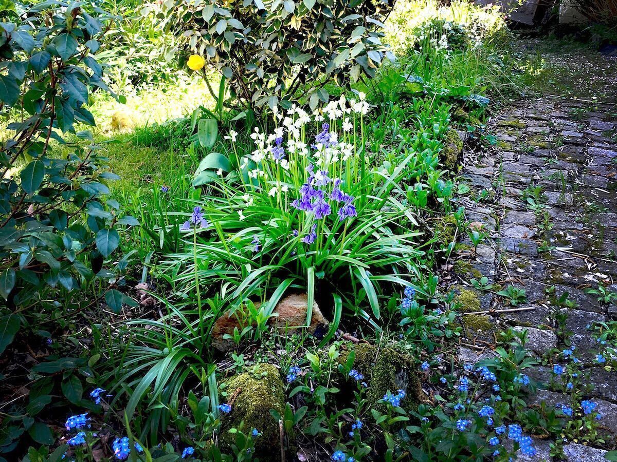 Chambre D'hôtes La Maison Des Tortues