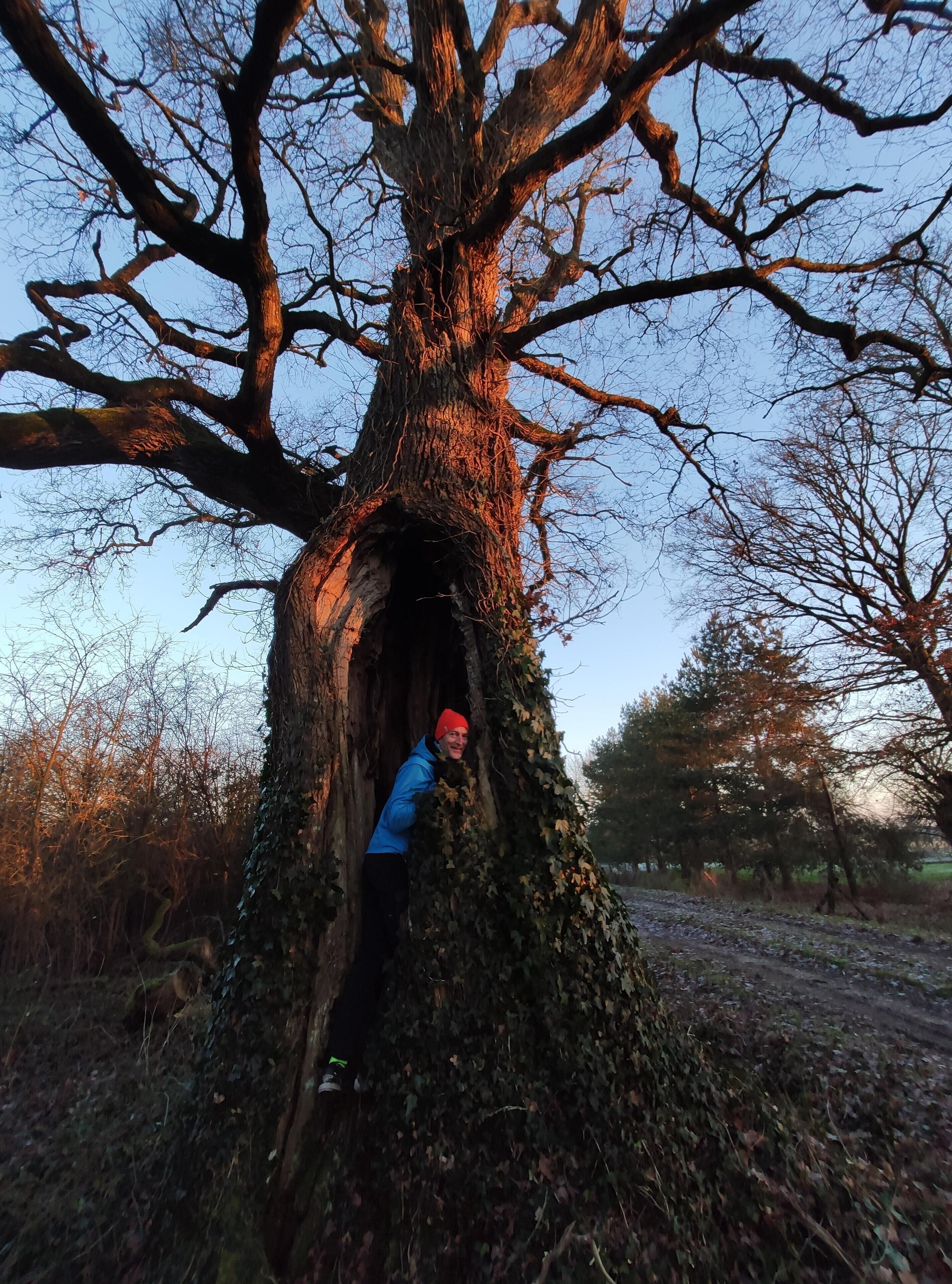 Les Chambres De La Belle Etoile