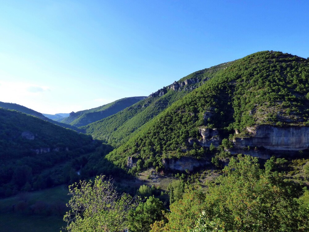 Gîtes Castel De Cantobre - Le Griffon