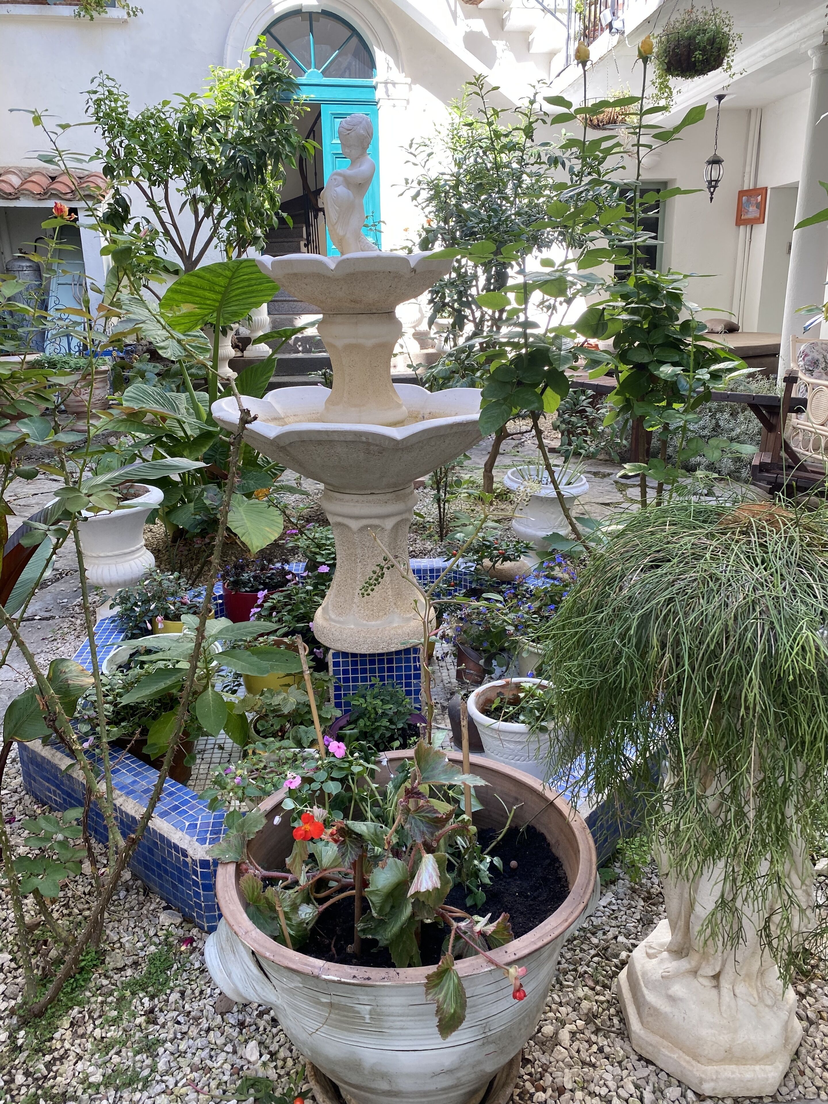 La Villa Rosa