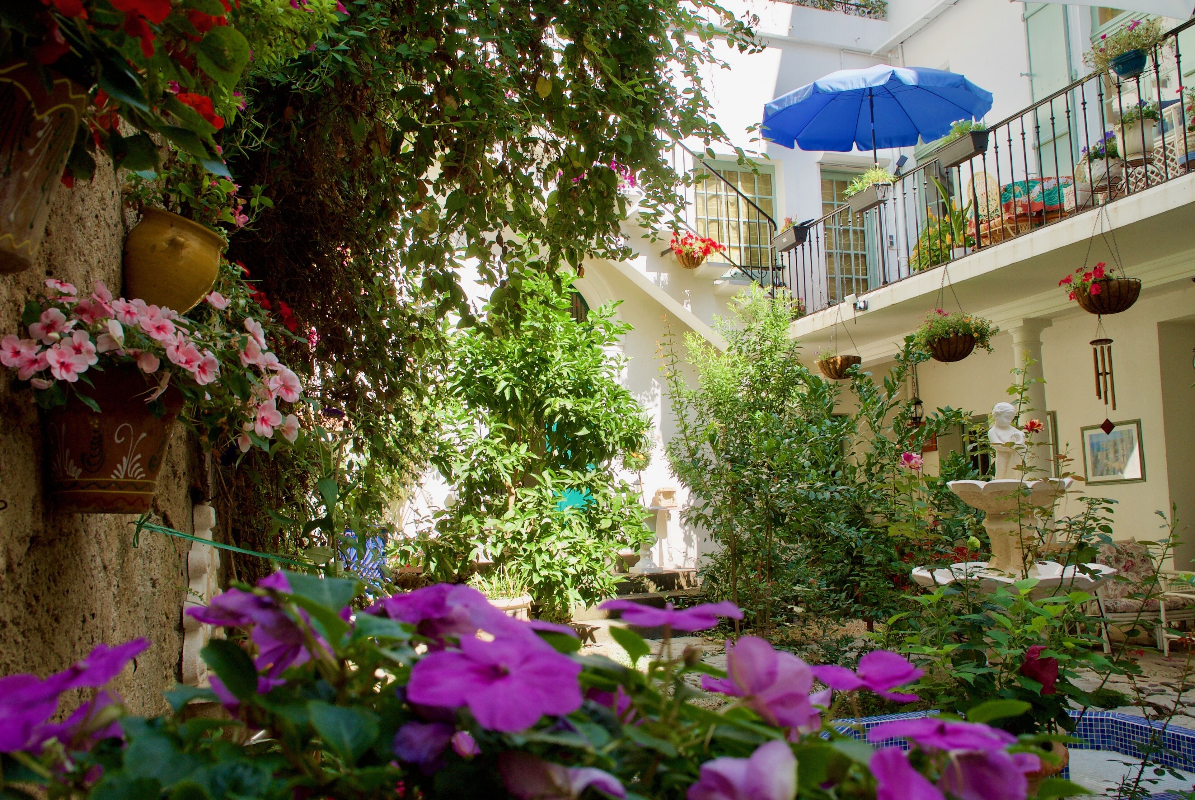 La Villa Rosa