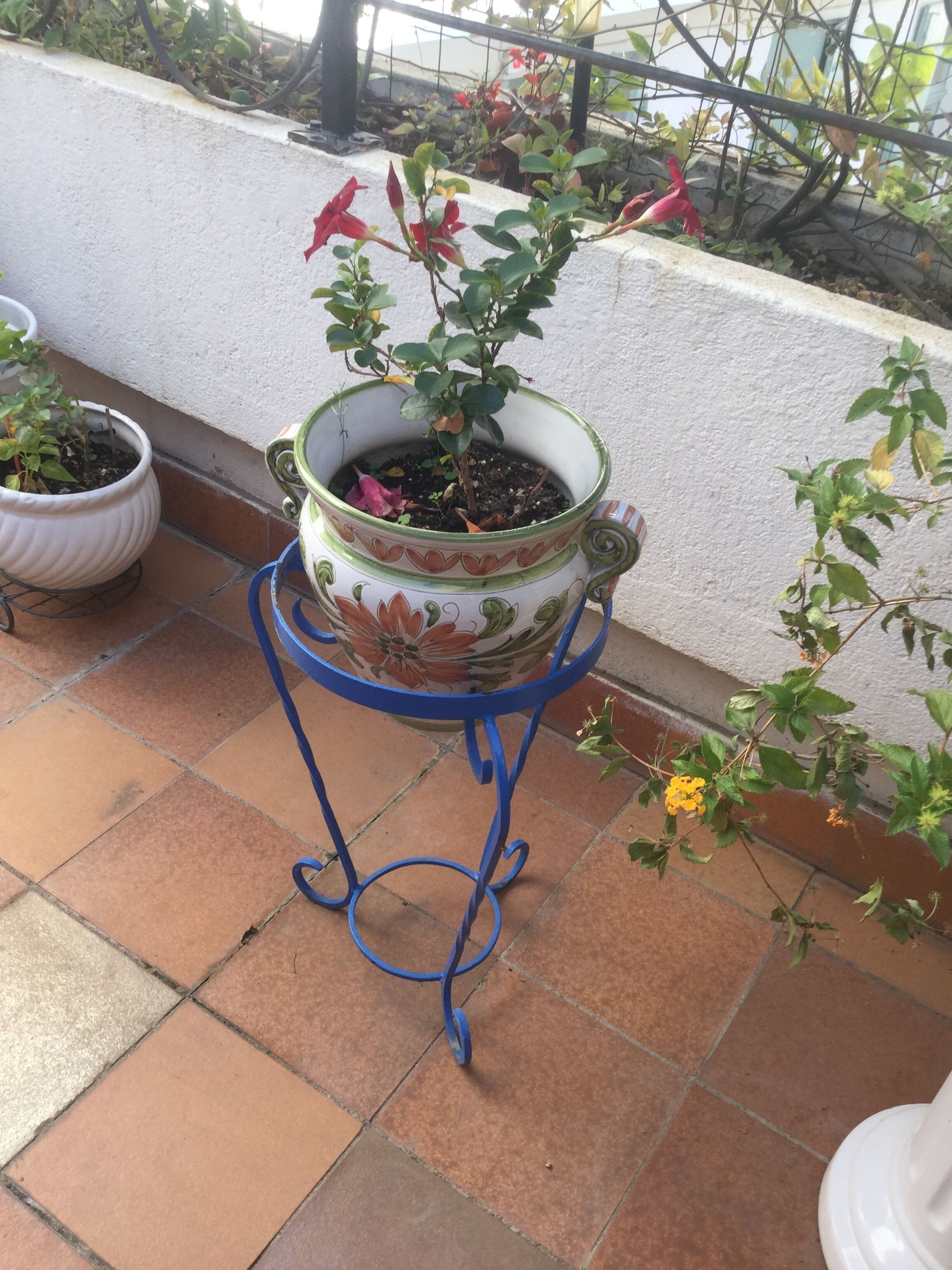 La Villa Rosa